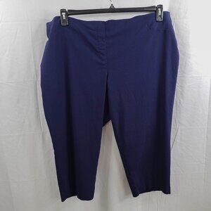 Style Co Womens Capri Pants 24W Blue Classic Stretch Preppy Minimalist Pull On